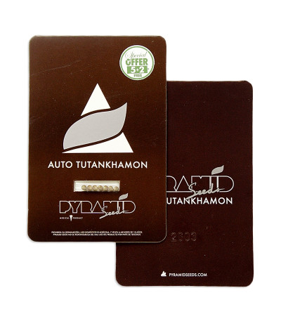 Auto Tutankhamon fem (Pyramid Seeds) семена конопли