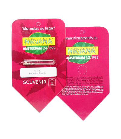 Amnesia Haze (Haze 1) fem (Nirvana Seeds) семена конопли