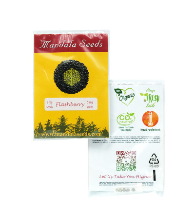 Flashberry reg (Mandala Seeds) семена конопли