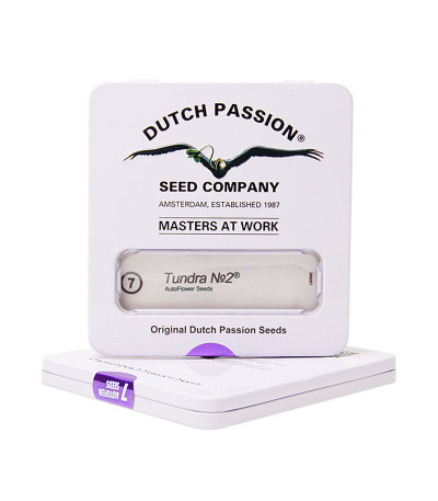 Tundra #2 Auto fem семена конопли
