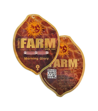 Семена каннабиса Morning Glory от Barney's Farm