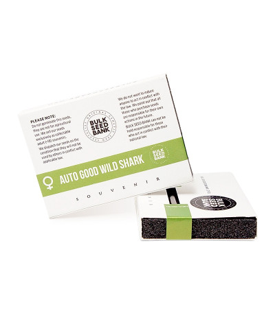 Auto Good Wild Shark fem семена конопли