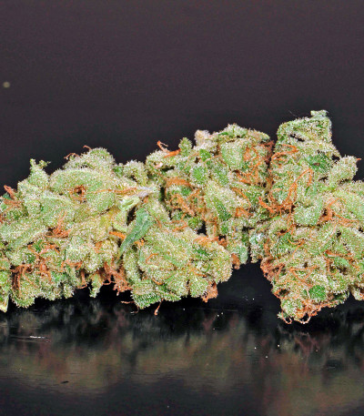 Afgooey fem (Strain Hunters) семена конопли