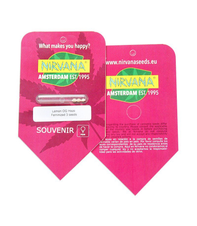 Lemon OG Haze fem (Nirvana Seeds) семена конопли
