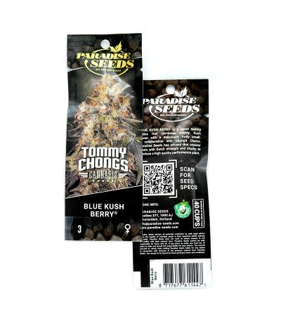 Blue Kush Berry fem (Paradise Seeds) семена конопли