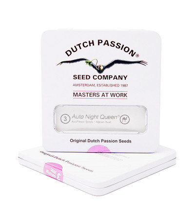 Auto Night Queen fem (Dutch Passion) семена конопли
