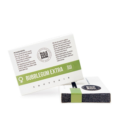 Семена каннабиса Bubblegum Extra в оригинальной упаковке