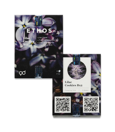 Lilac Cookies Bx2 reg (Ethos Genetics) семена конопли