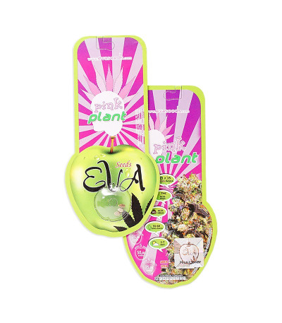 Pink Plant fem семена конопли