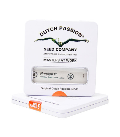Купить семена марихуаны Purple 1 в оригинальной упаковке