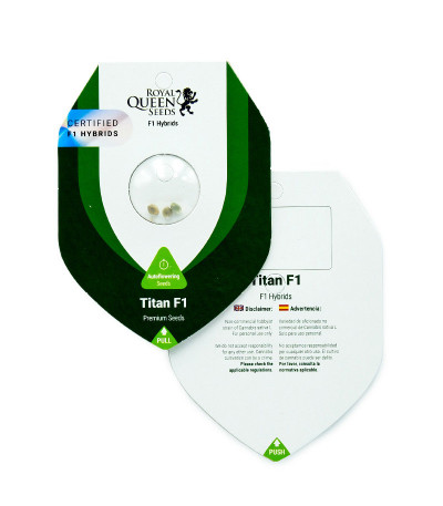 Семена конопли сорта Titan F1 Auto fem