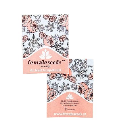 Семена конопли ICED Grapefruit от Female Seeds