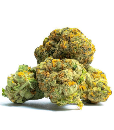 Garlic Cookies fem семена конопли