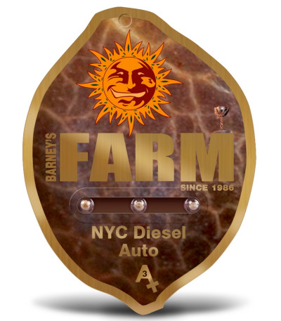 NYC Diesel Auto fem (Barney's Farm) семена конопли