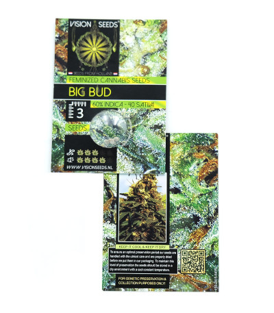 Big Bud fem (Vision Seeds) семена конопли