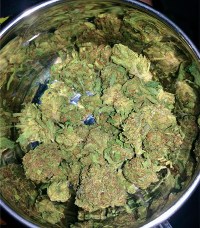 Black Cherry Punch fem (Pyramid Seeds) семена конопли