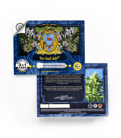 NYC Diesel Auto fem (Sweet Seeds) семена конопли