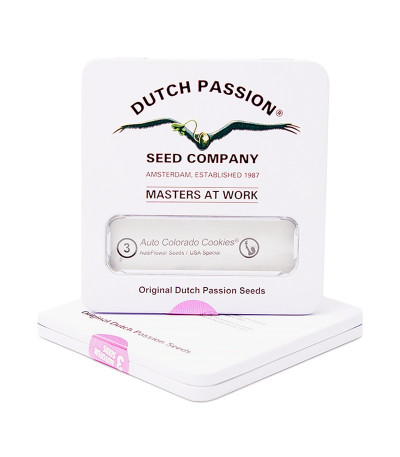 Семена конопли Auto Colorado Cookies в оригинальной упаковке