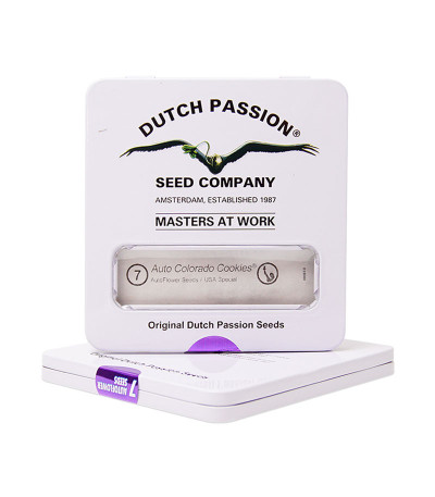 Auto Colorado Cookies fem (Dutch Passion) семена конопли