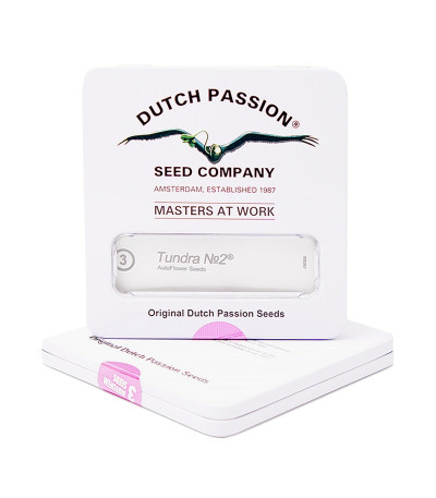 Tundra #2 Auto fem семена конопли