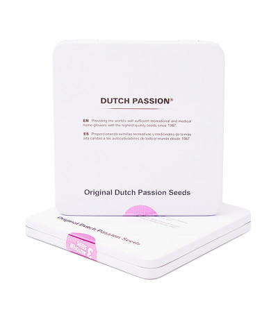 Auto Night Queen fem (Dutch Passion) семена конопли