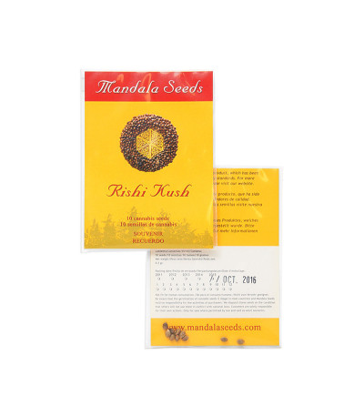 Rishi Kush reg семена конопли