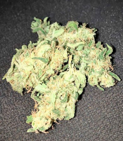 Afghan Cow fem (Dr. Krippling Seeds) семена конопли