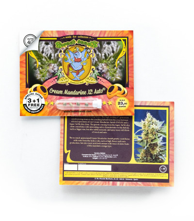 Cream Mandarine XL Auto fem (Sweet Seeds) семена конопли