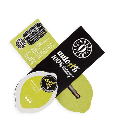 Auto AK fem (Grass-O-Matic) семена конопли