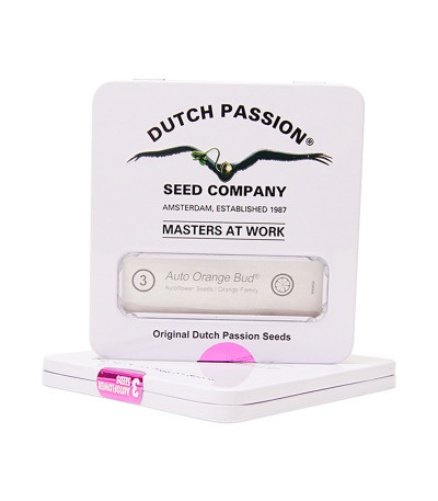 Auto Orange Bud fem (Dutch Passion) семена конопли
