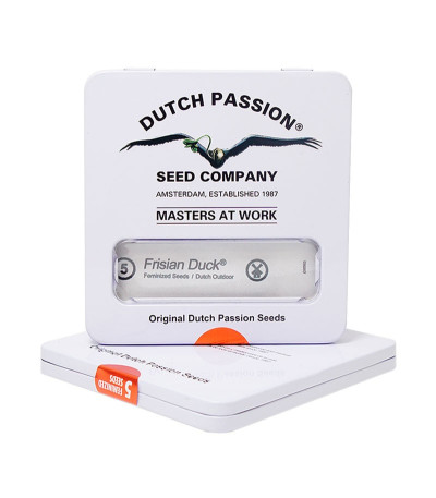 Семена марихуаны Frisian Duck в оригинальной упаковке