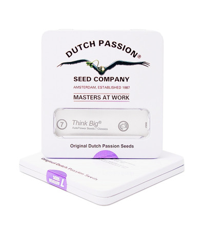 Think Big auto fem семена конопли