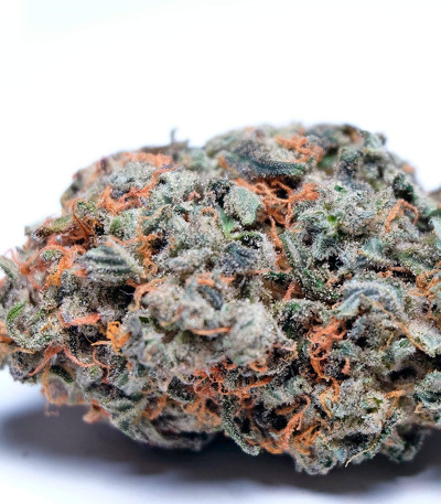 Tangie'matic auto fem семена конопли