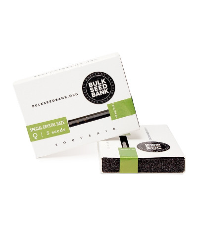 Special Crystal Haze fem семена конопли