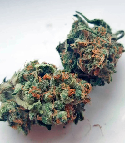 Blue Mystic fem (Royal Queen Seeds) семена конопли