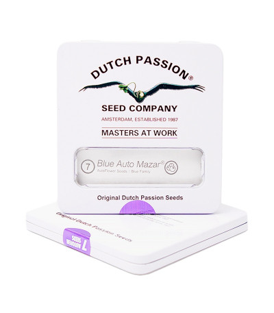 Семена марихуаны Blue Auto Mazar в оригинальной упаковке