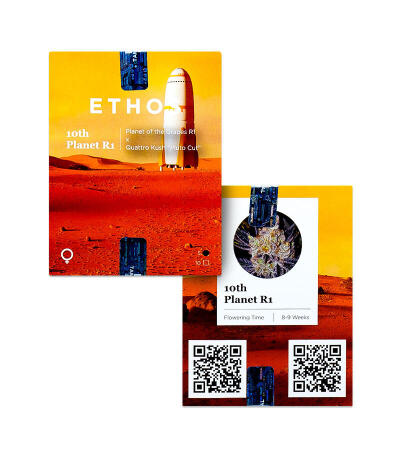 10TH Planet R1 fem (Ethos Genetics) семена конопли