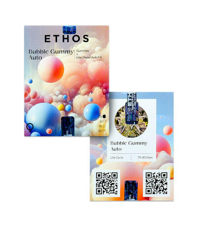 Bubble Gummy Auto fem (Ethos Genetics) семена конопли