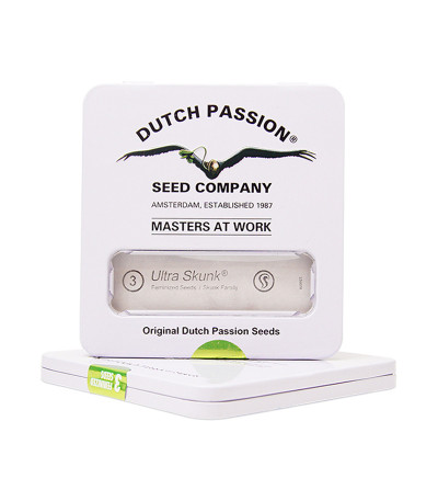 Ultra Skunk fem (Dutch Passion) семена конопли