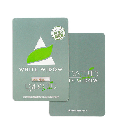 White Widow fem (Pyramid Seeds) семена конопли