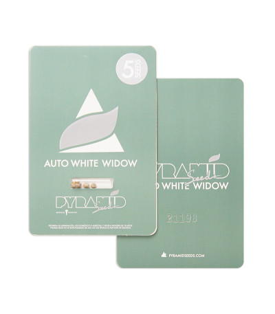 Auto White Widow fem (Pyramid Seeds) семена конопли