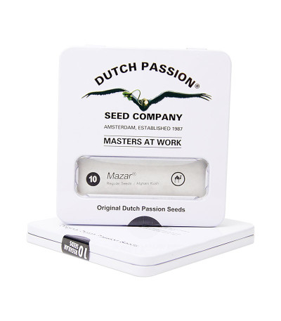 Mazar reg (Dutch Passion) семена конопли