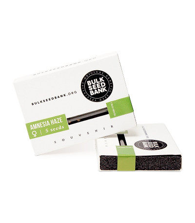 Аmnesia Haze fem (Bulk Seed Bank) семена конопли