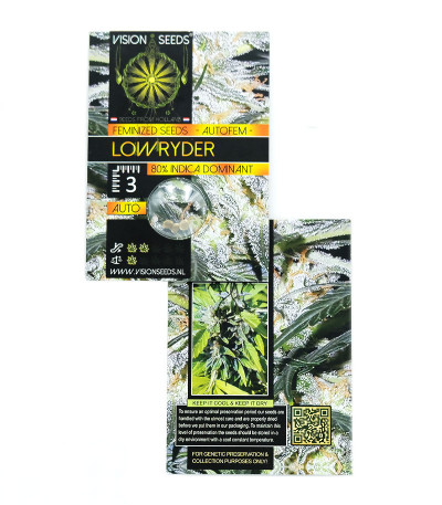 Lowryder Auto Fem (Vision Seeds) семена конопли