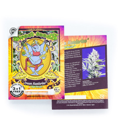 Cream Mandarine F1 Fast Version fem (Sweet Seeds) семена конопли