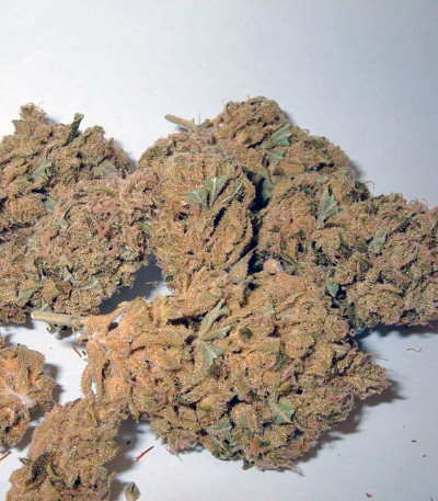 Damn Sour fem семена конопли