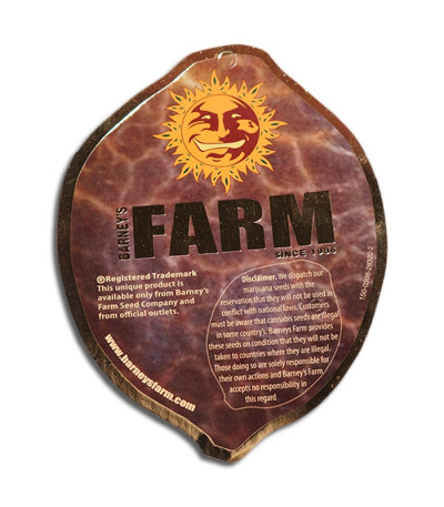 Grape Ape fem (Barney's Farm) семена конопли