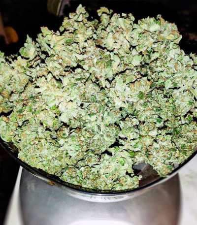 Zkittlez Auto fem (Cali Buds Seeds) семена конопли