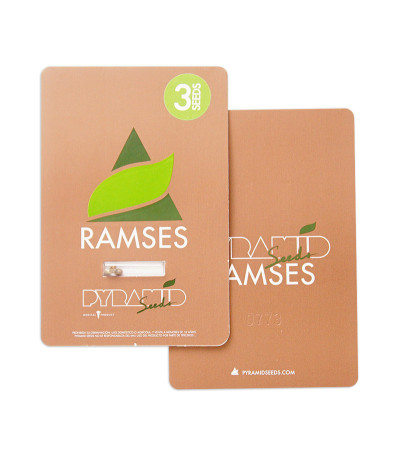 Ramses fem (Pyramid Seeds) семена конопли