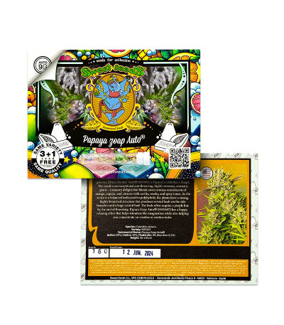 Papaya Zoap Auto fem (Sweet Seeds) семена конопли